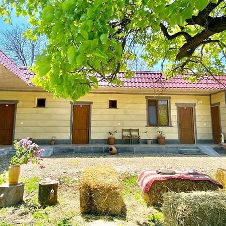 Aghasu Tun B&B Odzun Extérieur photo